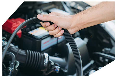 Belts & Hoses02 A hand holding a serpentine belt in an engine bay, with the car battery visible in the background during a belt replacement or inspection procedure.